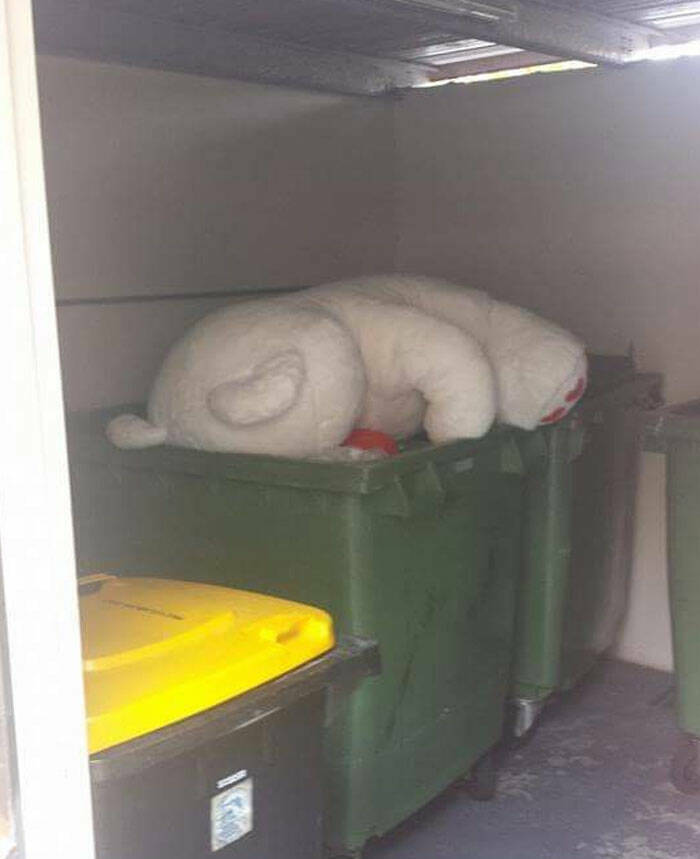 Epic Valentine’s Fails That Are Painfully Funny