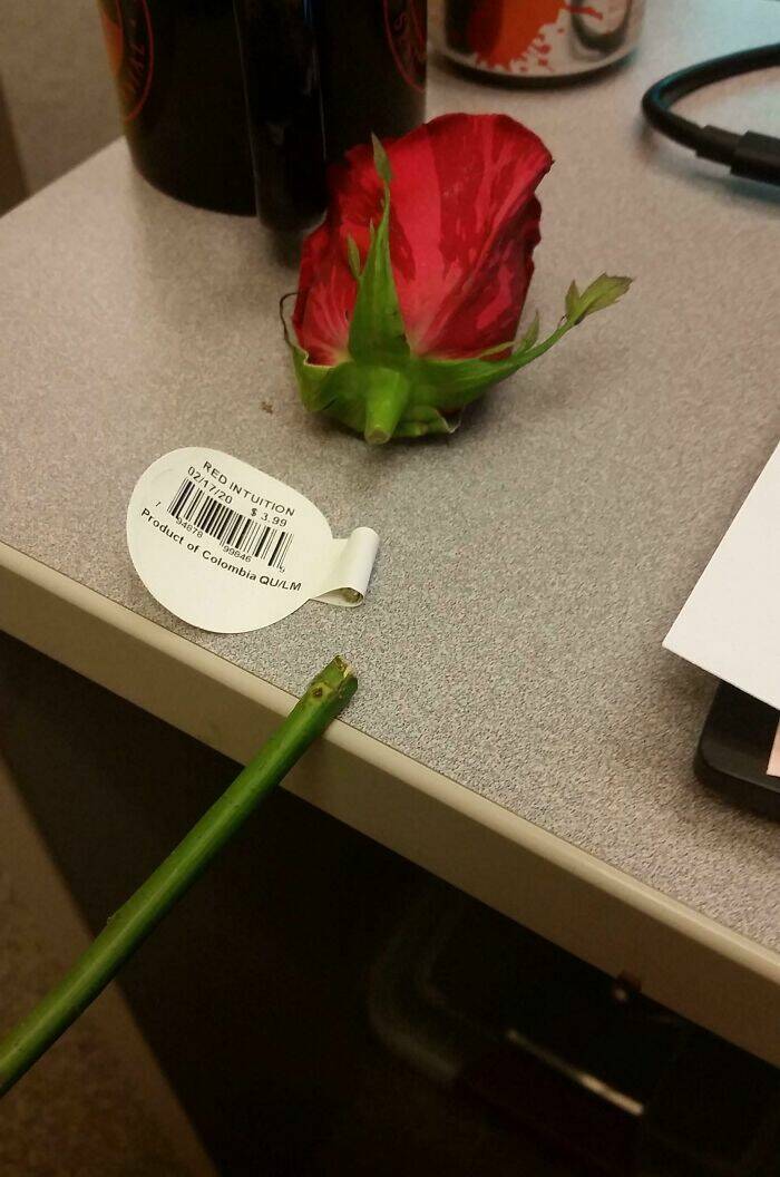 Epic Valentine’s Fails That Are Painfully Funny