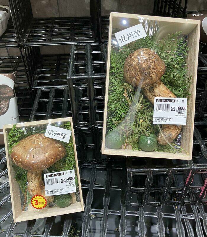 Fascinating Photos That Showcase Japan’s Unique Charm