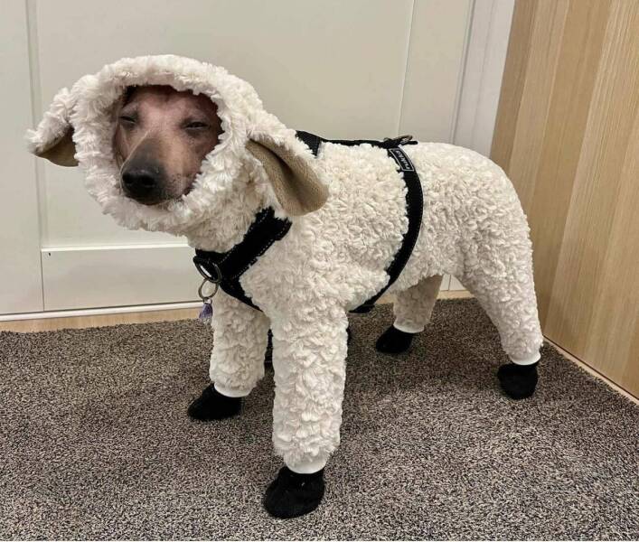 Morning Picdump Morning Picdump