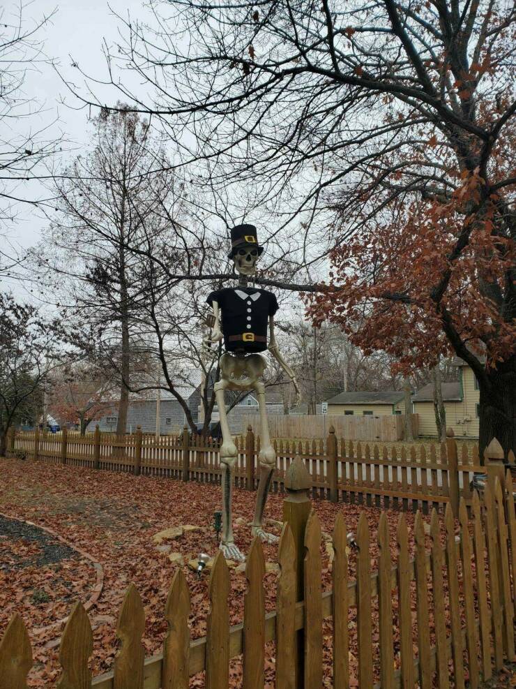 Morning Picdump Morning Picdump