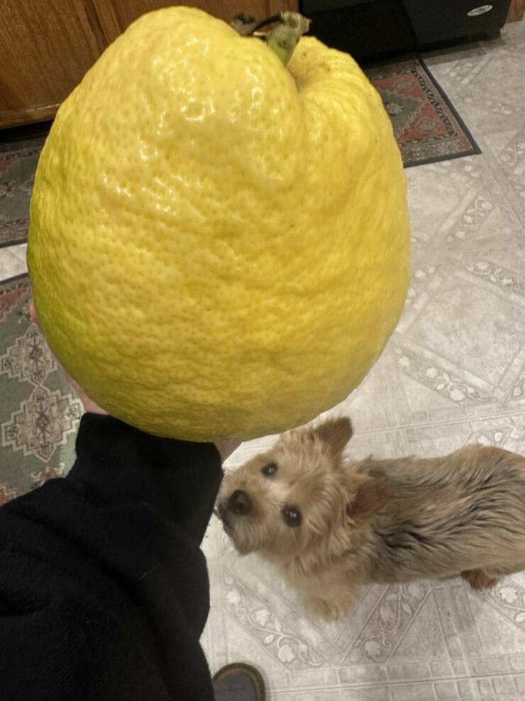 Morning Picdump Morning Picdump