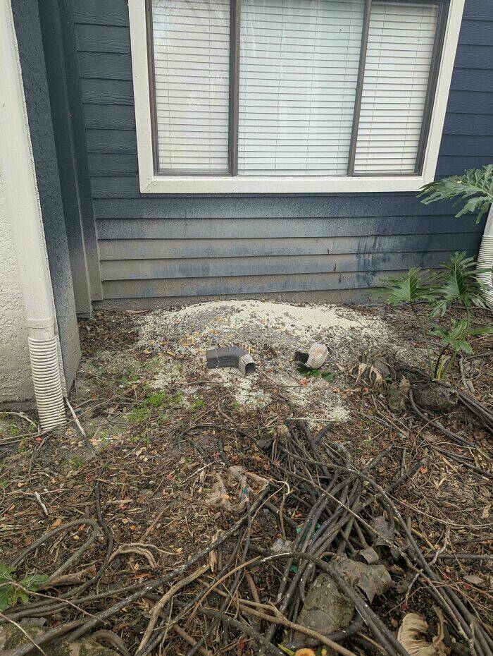 Nightmare Neighbors Who Deserved To Be Called Out