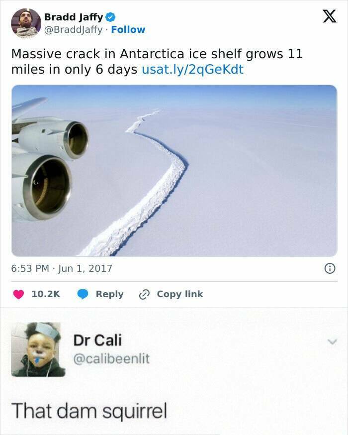 Quirky Jokes And Memes That Are Too Funny To Ignore Quirky Jokes And Memes That Are Too Funny To Ignore