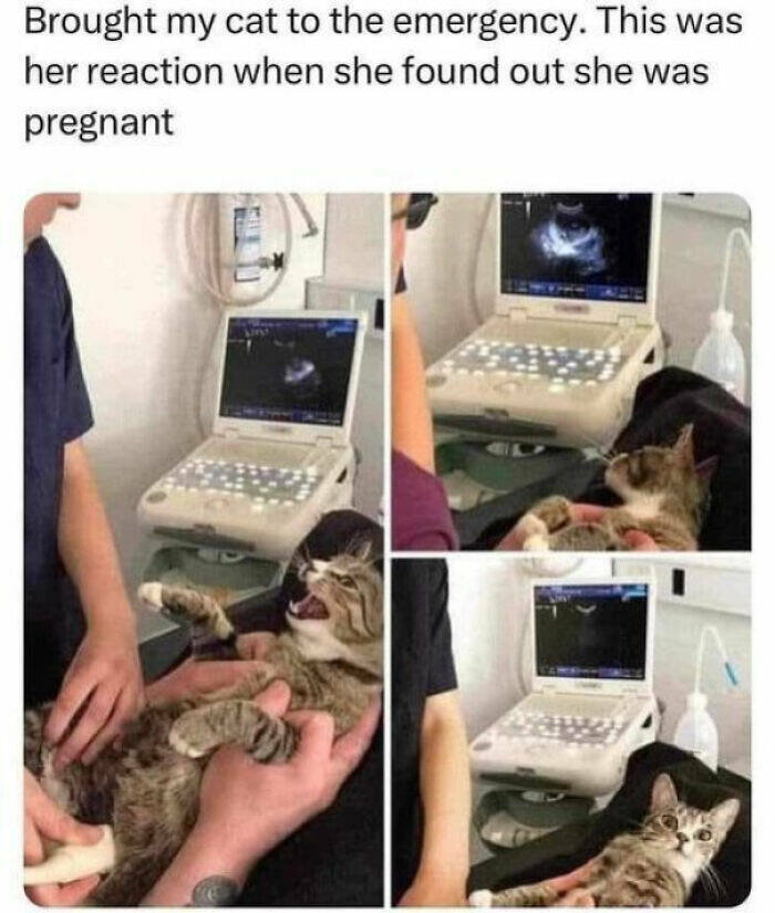 Quirky Jokes And Memes That Are Too Funny To Ignore Quirky Jokes And Memes That Are Too Funny To Ignore