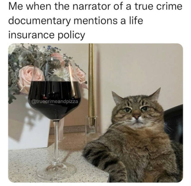 Relatable Memes For People Who Watch Too Much True Crime
