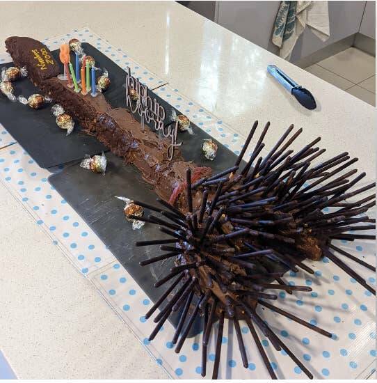 Unlucky Moments That Are Painfully Funny