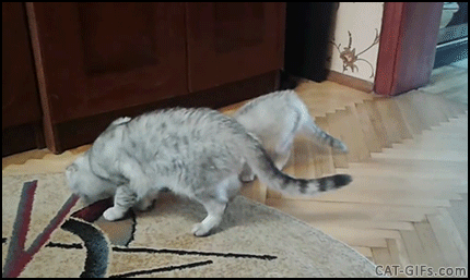 Shower Thoughts That Will Bend Your Mind