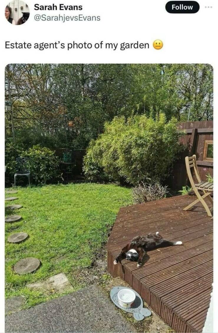 Funny Picdump