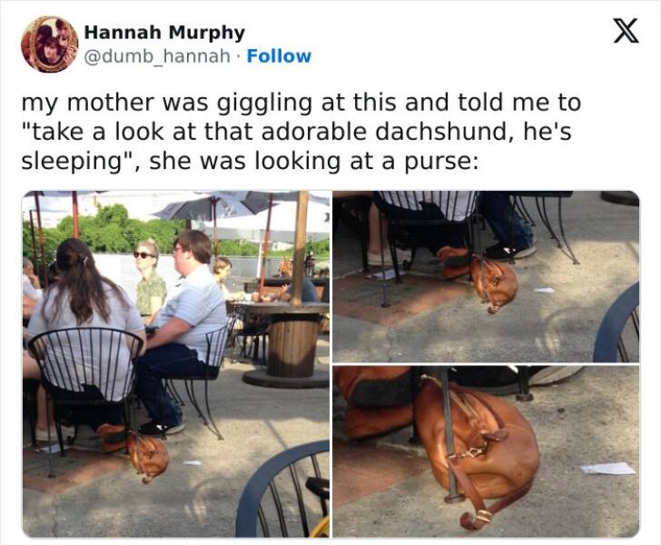 The Funniest Misunderstandings