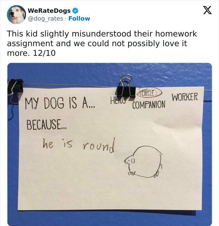 The Funniest Misunderstandings