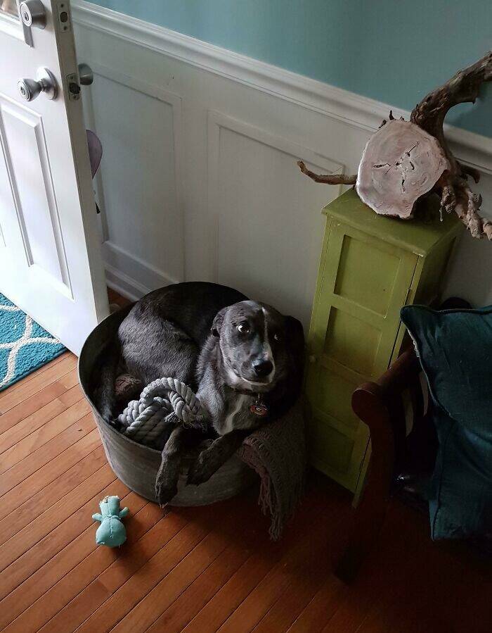 The Funniest Misunderstandings