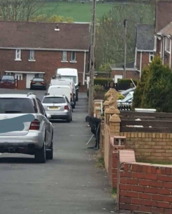 The Funniest Misunderstandings