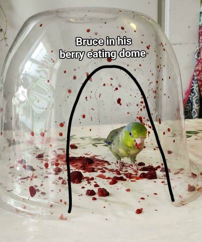 When Things Hit Boss Status