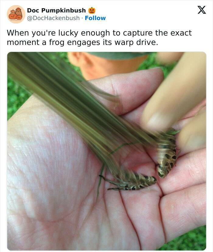 When Things Hit Boss Status When Things Hit Boss Status