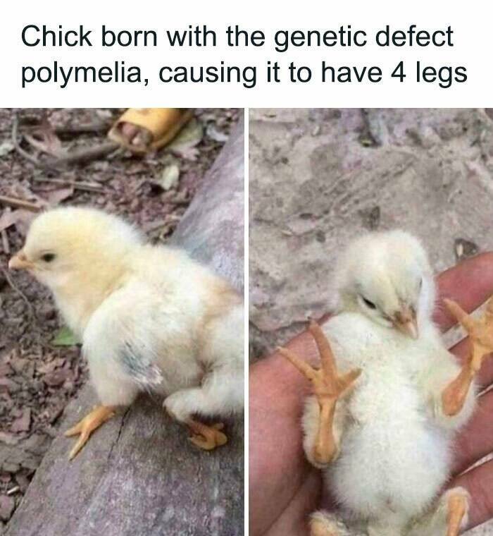 When Things Hit Boss Status When Things Hit Boss Status