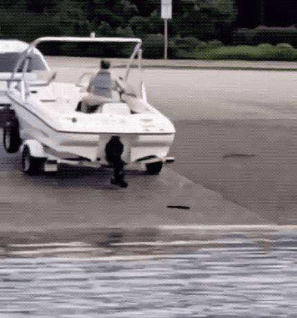 Bad Drivers In Action