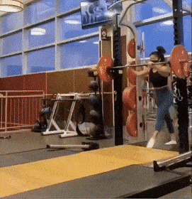 Daily Gifdump Daily Gifdump