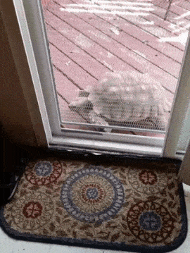 Daily Gifdump Daily Gifdump