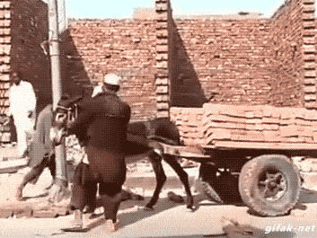 Daily Gifdump Daily Gifdump