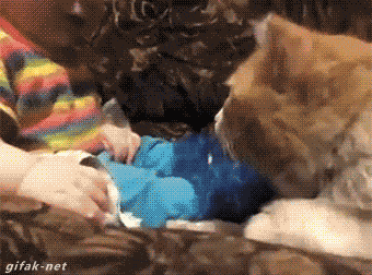 Daily Gifdump Daily Gifdump