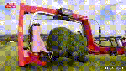 Daily Gifdump Daily Gifdump