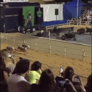 Daily Gifdump Daily Gifdump