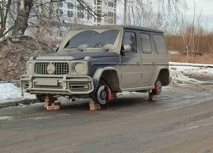 Daily Picdump