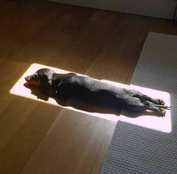 Daily Picdump