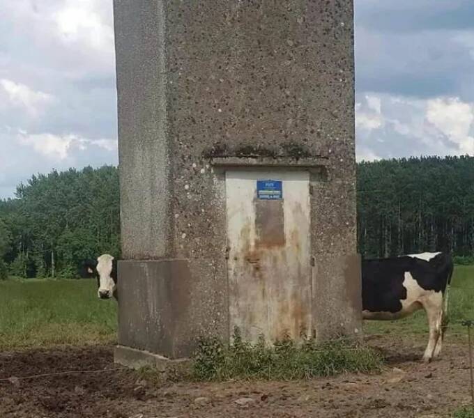 Daily Picdump