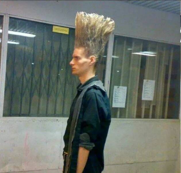 Daily Picdump