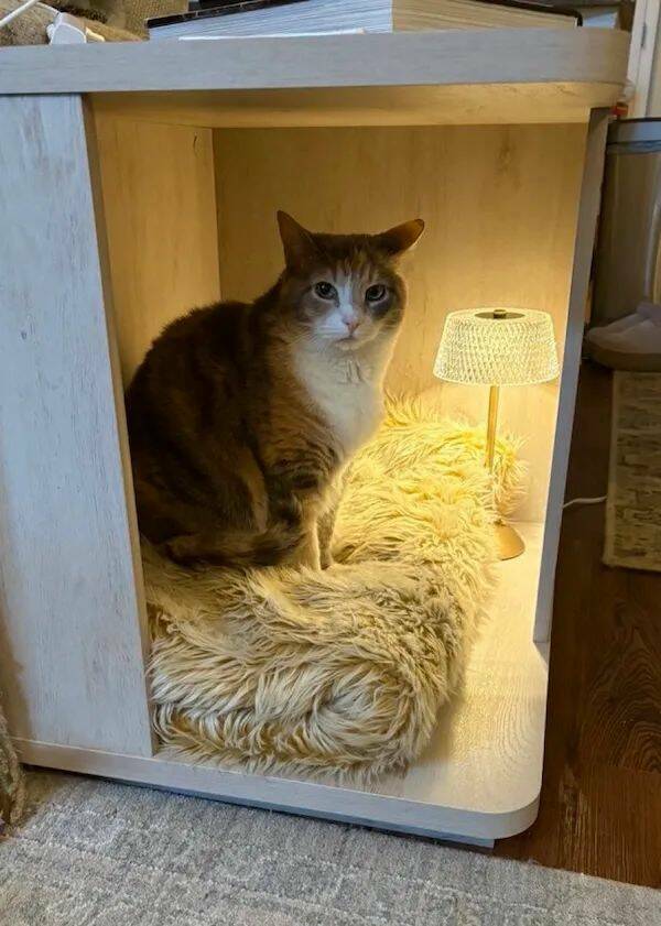Daily Picdump