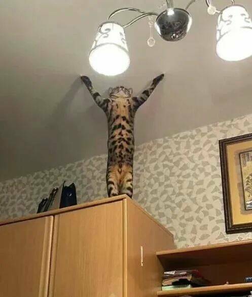 Daily Picdump