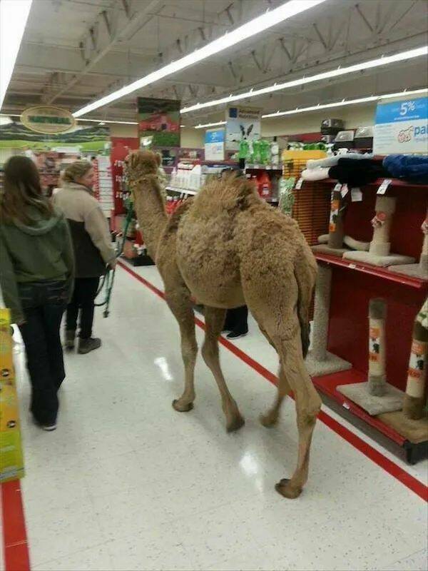 Daily Picdump