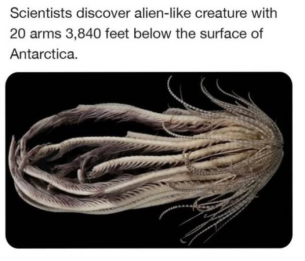 Morning Picdump Morning Picdump