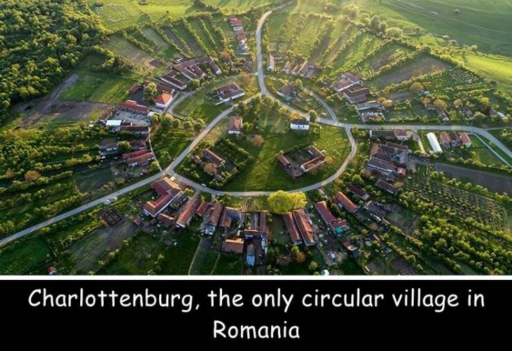 Morning Picdump Morning Picdump