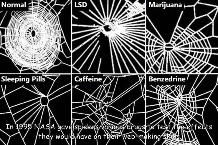 Morning Picdump Morning Picdump