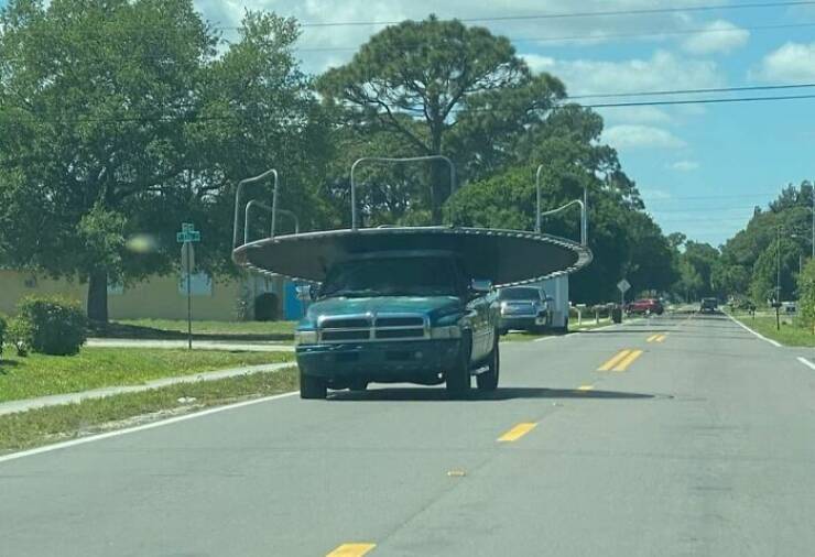 Only In Florida – The Most Bizarre Things Ever Witnessed