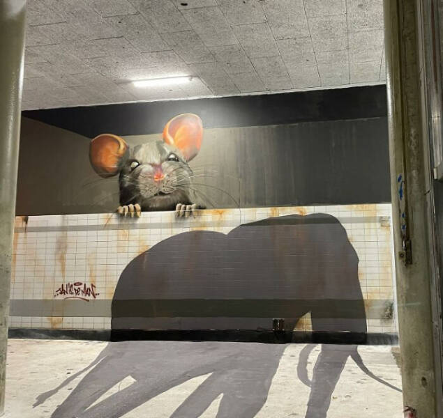 Street Art Wonders That Transform Cities