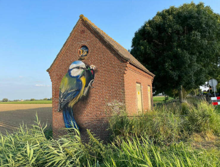 Street Art Wonders That Transform Cities
