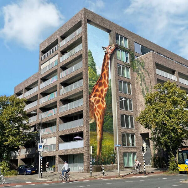 Street Art Wonders That Transform Cities