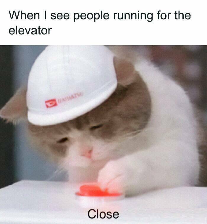 The Ultimate Mockery Collection