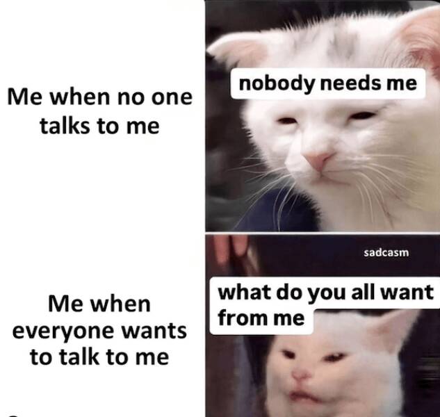 When Do Not Disturb Is A Whole Mood