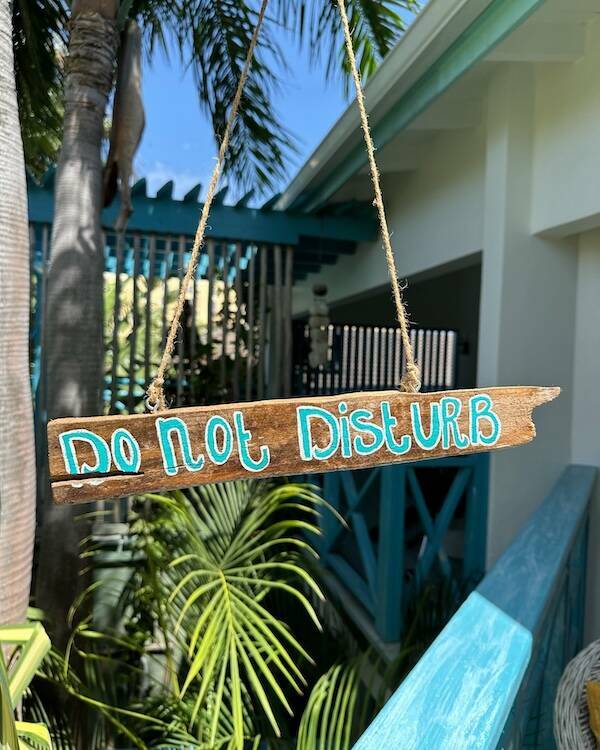 When Do Not Disturb Is A Whole Mood