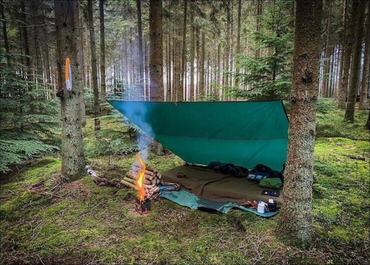 You Know You Want It