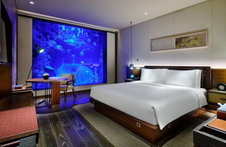 You Know You Want It