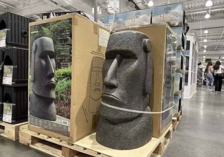 You Know You Want It