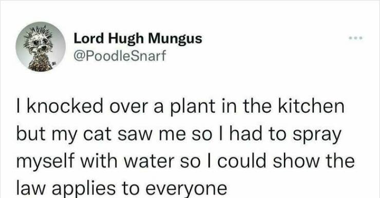 Chaotic, Hilarious, And Questionable Posts