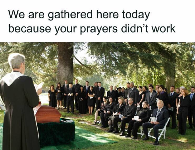 Chaotic, Hilarious, And Questionable Posts