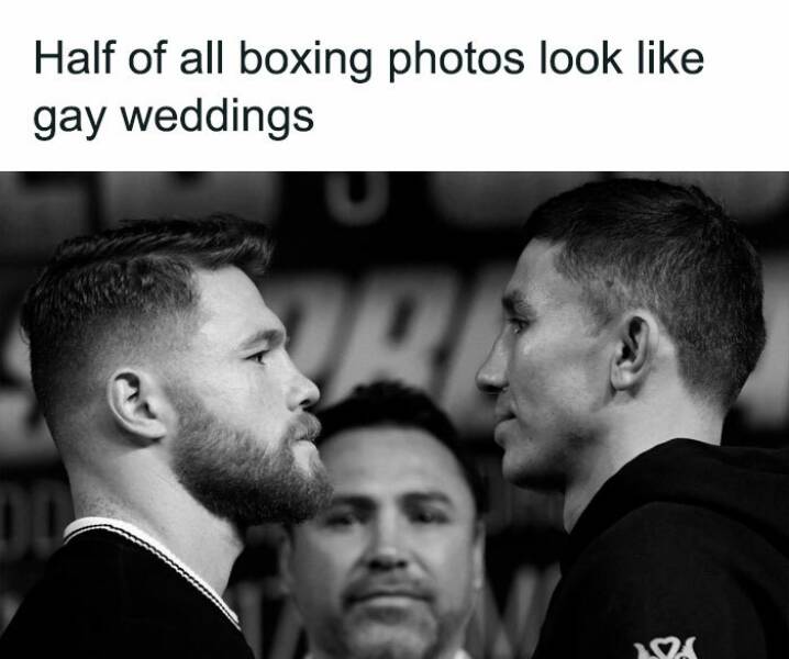 Chaotic, Hilarious, And Questionable Posts